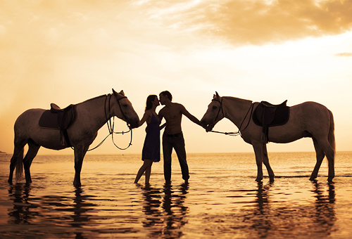 Adventure on Horseback