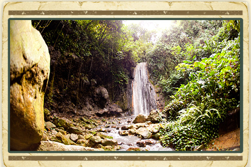 Land + Sea St. Lucia Adventure