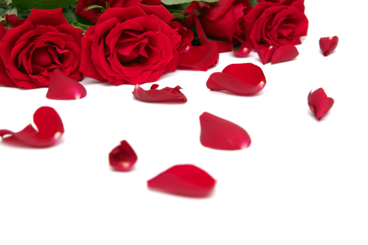 Romantic Red Roses